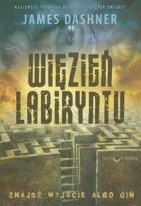 Obrazek Więzień Labiryntu