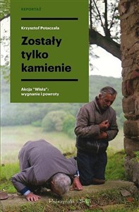 Obrazek Zostały tylko kamienie DL