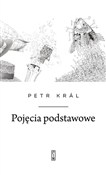 Zobacz : Pojęcia po... - Petr Král