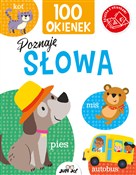 100 okiene... - Kit Elliot -  foreign books in polish 