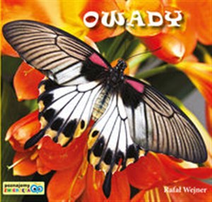 Obrazek Owady Poznajemy zwierzęta