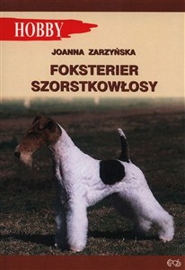 Obrazek Foksterier szorstkołosy