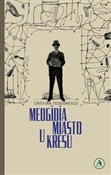 Medgidia M... - Cristian Teodorescu - Ksiegarnia w UK