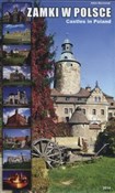 Zamki w Po... - Albin Marciniak -  books in polish 