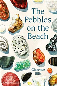 Obrazek The Pebbles on the Beach