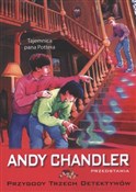 Tajemnica ... - Andy Chandler -  books from Poland