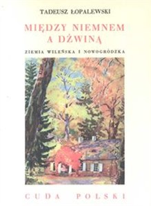Obrazek Między Niemnem a Dźwiną