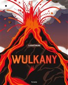 Wulkany - LuogoComune - Ksiegarnia w UK
