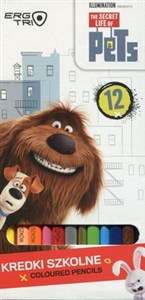 Obrazek Kredki trójkątne 12 kolorów