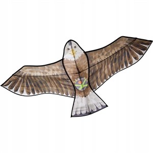 Obrazek Terra Kids Latawiec Orzeł