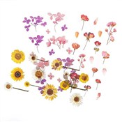 Naklejki t... -  Polish Bookstore 