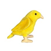 Kanarek żó... -  books from Poland