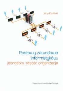 Obrazek Postawy zawodowe informatyków jednostka, zespół, organizacja
