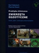 Zobacz : Praktyka k... - Karl Gabrisch, Peernel Zwart