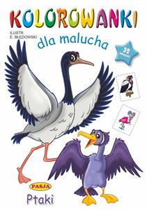 Obrazek Kolorowanki dla malucha Ptaki