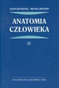 Zobacz : Anatomia c... - Adam Bochenek, Michał Reicher