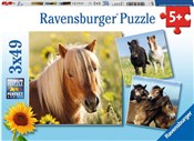 Puzzle Koc... - Ksiegarnia w UK