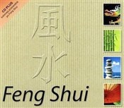 Feng Shui - Various Artists -  books in polish 