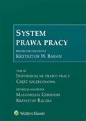 Polska książka : System pra... - Małgorzata Gersdorf, Krzysztof Rączka