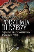 Podziemia ... - Jerzy Rostkowski -  books from Poland