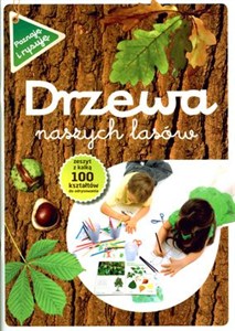 Obrazek Drzewa naszych lasów Zeszyt z kalką. 100 kształtów do odrysowania.
