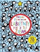 Labirynty ... - Thomas Flintham -  Książka z wysyłką do UK