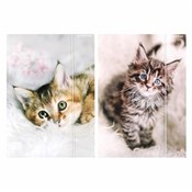 Teczka z g... - Ksiegarnia w UK