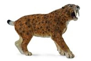 Obrazek Smilodon XL