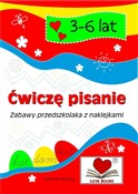 Ćwiczę pis... - Agnieszka Wileńska -  books from Poland