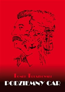 Picture of Podziemny Car