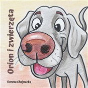 Zobacz : Orion i zw... - Dorota Chojnacka