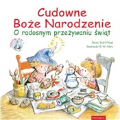 polish book : Cudowne Bo... - Ted ONeal