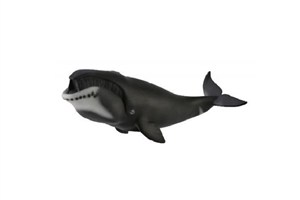 Obrazek Wieloryb grenlandzki XL