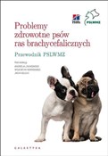 Zobacz : Problemy z...