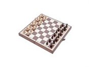 Szachy szk... -  books in polish 