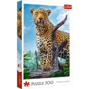 Puzzle Dzi... -  Polish Bookstore 