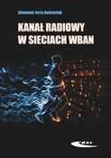 Zobacz : Kanał radi... - J. Sławomir Ambroziak