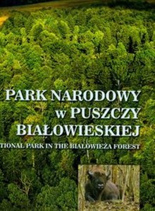 Obrazek Park Narodowy w Puszczy Białowieskiej