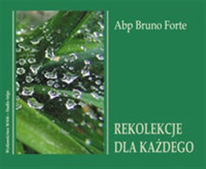 Obrazek [Audiobook] Rekolekcje dla każdego