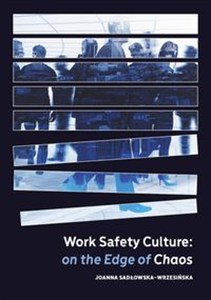 Obrazek Work Safety Culture: on the Edge of Chaos