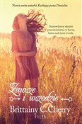 Zawsze i w... - Cherry Brittainy C. -  books from Poland