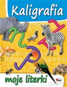 Polska książka : Kaligrafia...