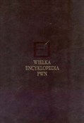Wielka enc... -  foreign books in polish 