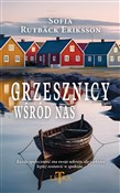 Grzesznicy... - Sofia Rutbäck Eriksson -  foreign books in polish 