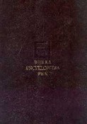 Wielka enc... -  books from Poland
