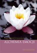 polish book : Alchemia e... - Tara Bennett-Goleman