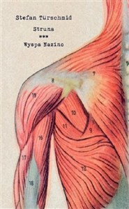 Obrazek Struna Wyspa Nazino