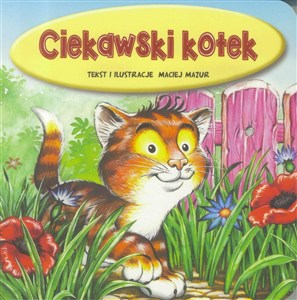 Obrazek Ciekawski kotek