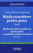Międzynaro... - Andrzej Marian Świątkowski -  books from Poland