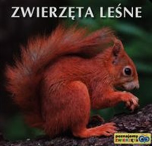 Obrazek Zwierzęta leśne